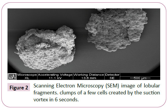 aesthetic-reconstructive-surgery-electron-microscopy