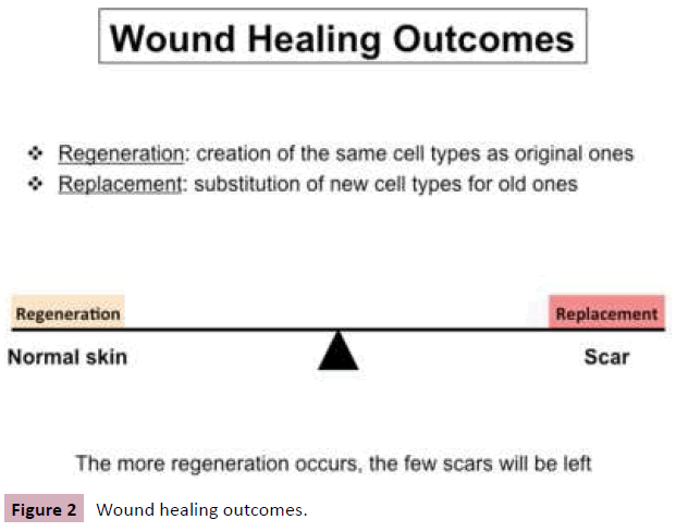 aesthetic-reconstructive-surgery-Wound-healing-outcomes